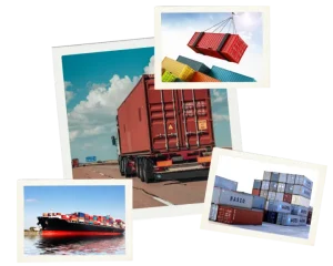 Jasa Cargo via Laut