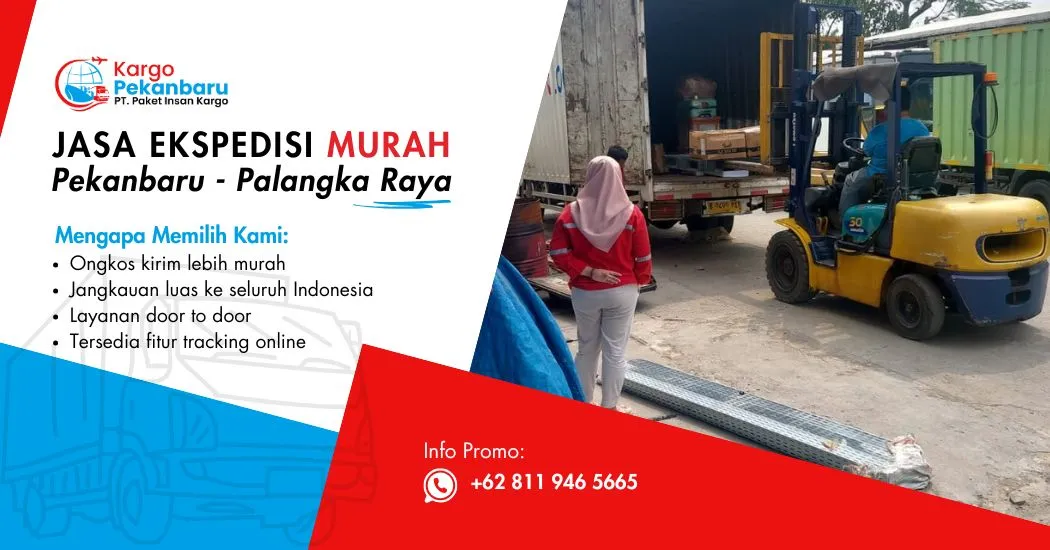 Jasa Ekspedisi Murah Pekanbaru ke Palangkaraya